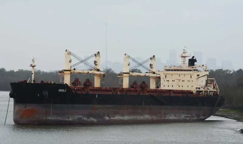 ORIOLE Bulk Carrier IMO 9441374 photo 2