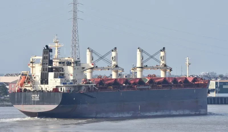 ORIOLE Bulk Carrier IMO 9441374 photo 3