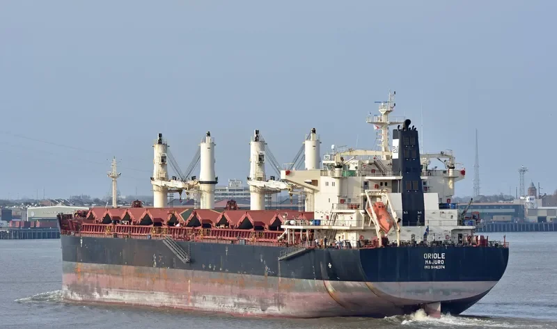 ORIOLE Bulk Carrier IMO 9441374 photo 4