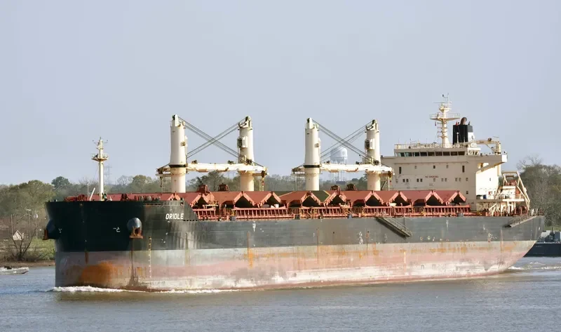 ORIOLE Bulk Carrier IMO 9441374 photo 5