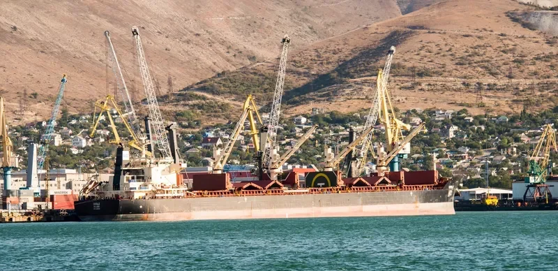 ORIOLE Bulk Carrier IMO 9441374 photo 6