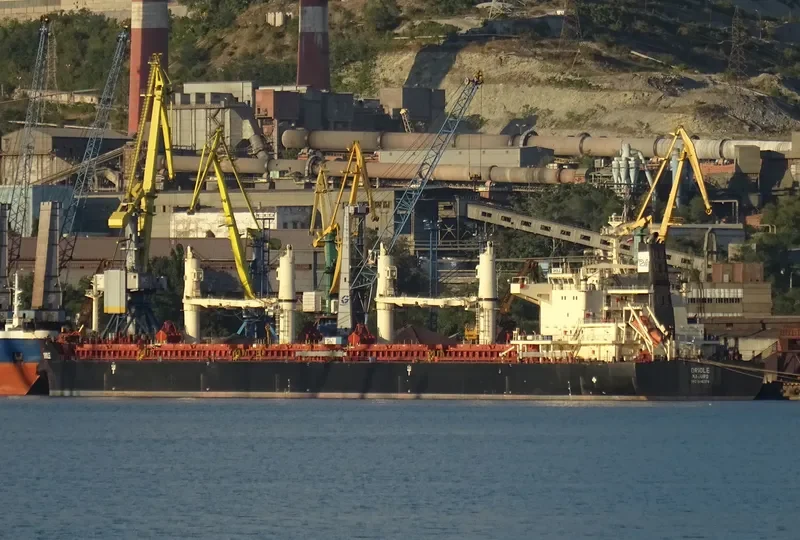 ORIOLE Bulk Carrier IMO 9441374 photo 7