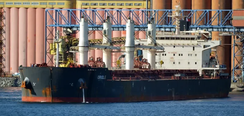 ORIOLE Bulk Carrier IMO 9441374 photo 8