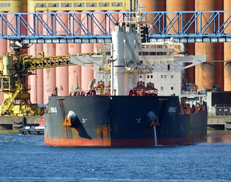 ORIOLE Bulk Carrier IMO 9441374 photo 9