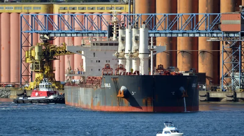 ORIOLE Bulk Carrier IMO 9441374 photo 10