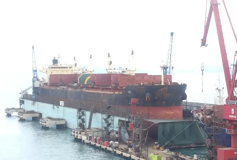 OWL Bulk Carrier IMO 9441386 photo 7