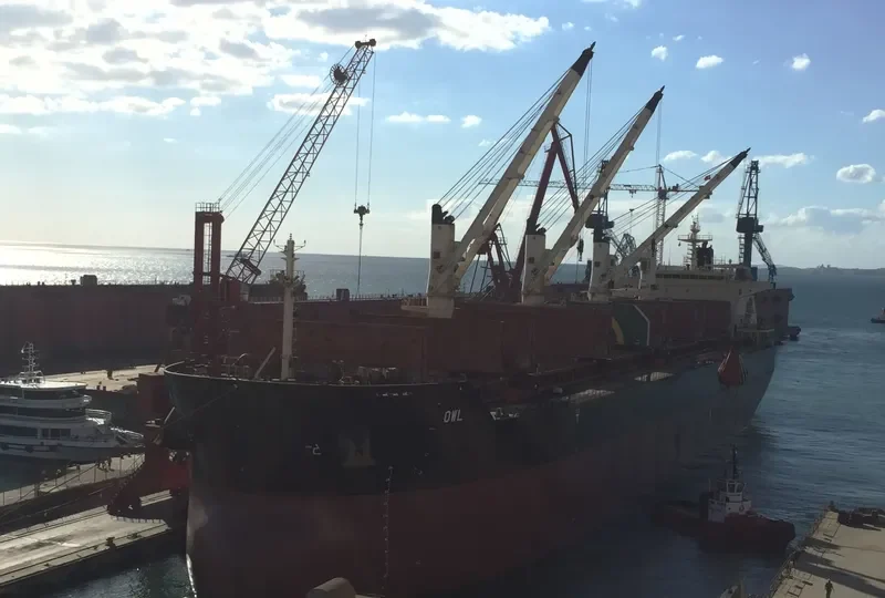 OWL Bulk Carrier IMO 9441386 photo 8
