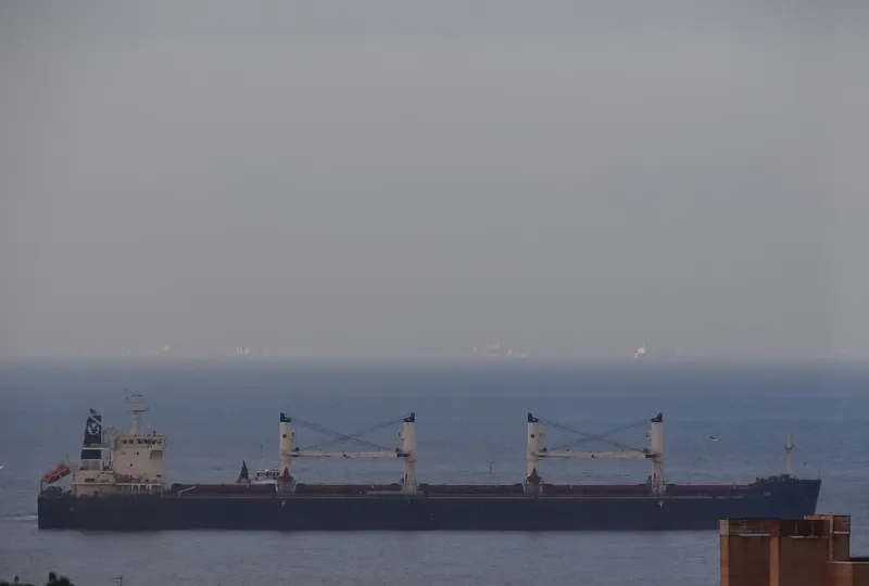 OWL Bulk Carrier IMO 9441386 photo 9