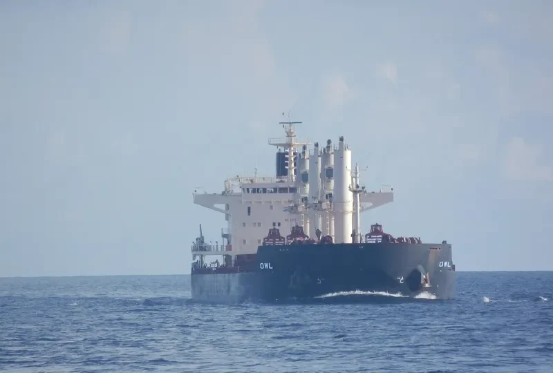 OWL Bulk Carrier IMO 9441386 photo 10
