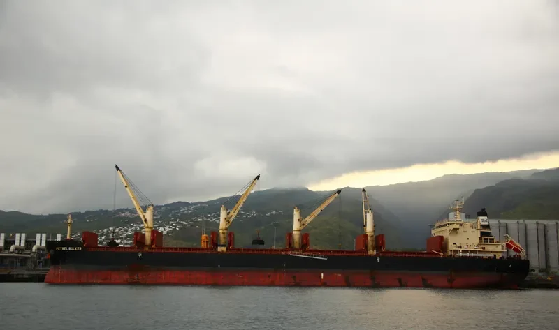 PETREL BULKER Bulk Carrier IMO 9441398