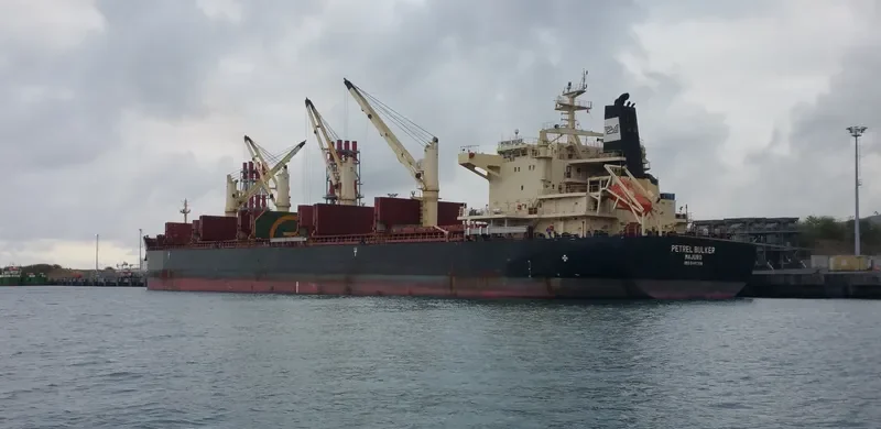 PETREL BULKER Bulk Carrier IMO 9441398 photo 2