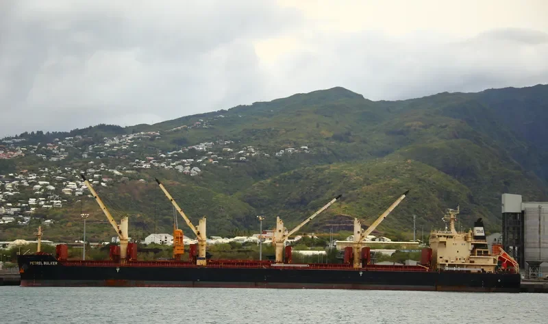 PETREL BULKER Bulk Carrier IMO 9441398 photo 3