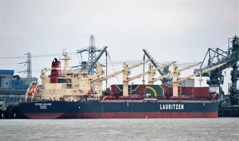 PETREL BULKER Bulk Carrier IMO 9441398 photo 4