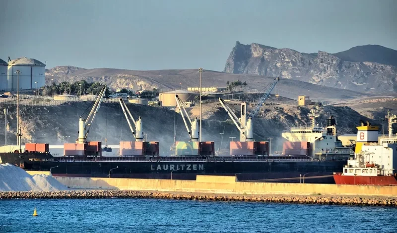PETREL BULKER Bulk Carrier IMO 9441398 photo 6