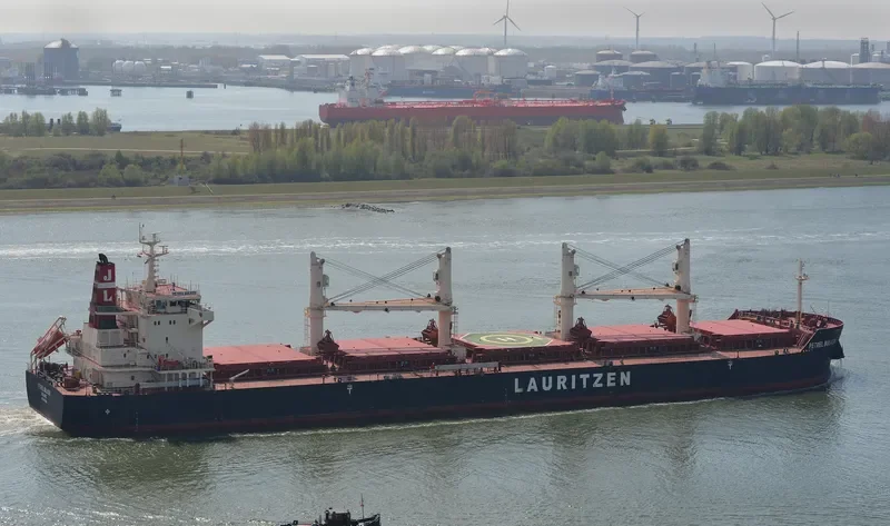PETREL BULKER Bulk Carrier IMO 9441398 photo 7