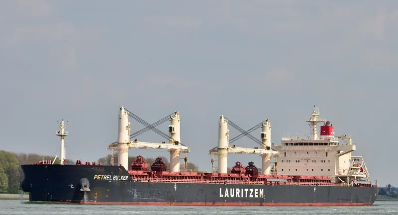 PETREL BULKER Bulk Carrier IMO 9441398 photo 8
