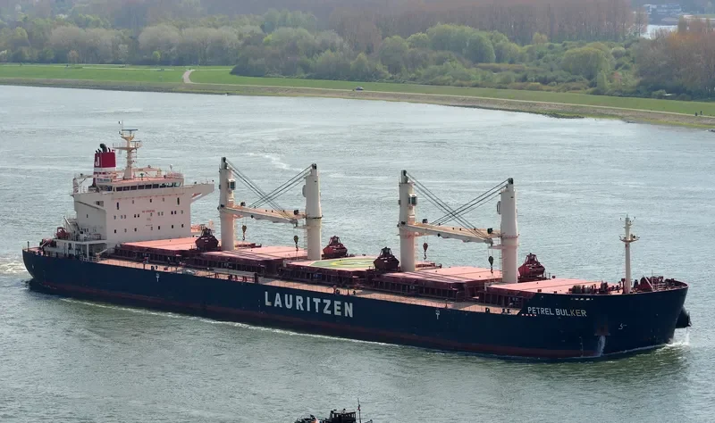 PETREL BULKER Bulk Carrier IMO 9441398 photo 9