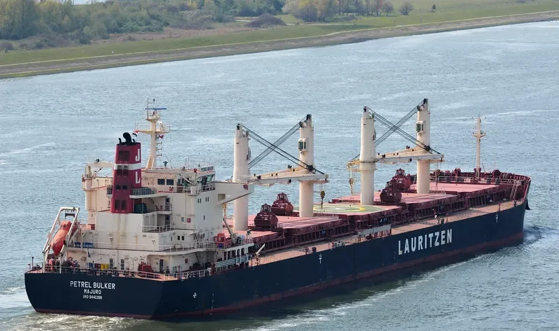 PETREL BULKER Bulk Carrier IMO 9441398 photo 10