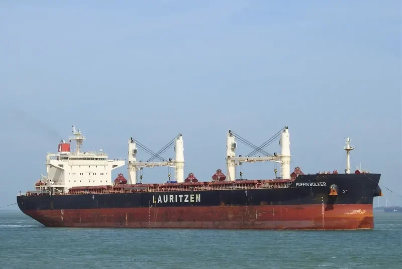 PUFFIN BULKER Bulk Carrier IMO 9441403