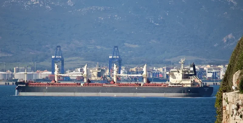 PUFFIN BULKER Bulk Carrier IMO 9441403 photo 2