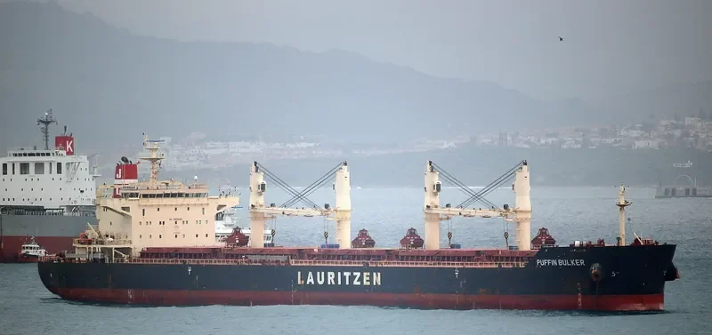 PUFFIN BULKER Bulk Carrier IMO 9441403 photo 5
