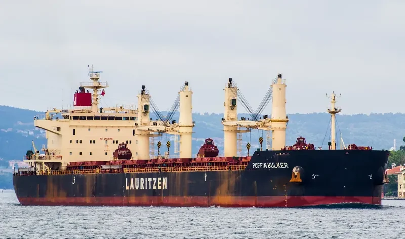 PUFFIN BULKER Bulk Carrier IMO 9441403 photo 6