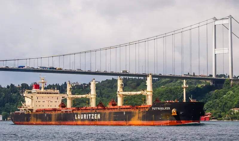 PUFFIN BULKER Bulk Carrier IMO 9441403 photo 7