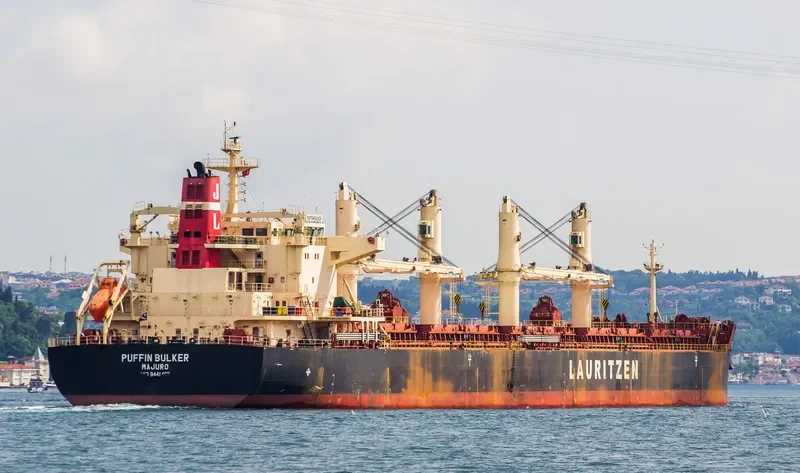 PUFFIN BULKER Bulk Carrier IMO 9441403 photo 8