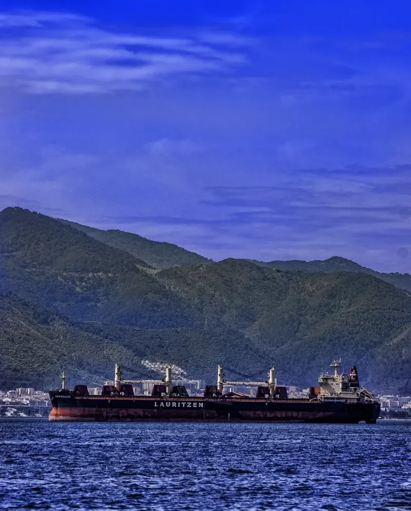 PUFFIN BULKER Bulk Carrier IMO 9441403 photo 9