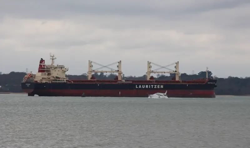 PUFFIN BULKER Bulk Carrier IMO 9441403 photo 10