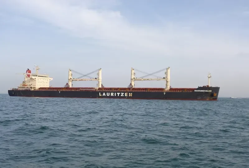 ROADRUNNER BULKER Bulk Carrier IMO 9441415 photo 6