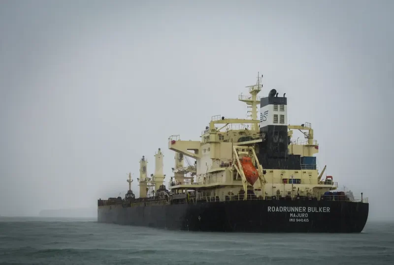 ROADRUNNER BULKER Bulk Carrier IMO 9441415 photo 7