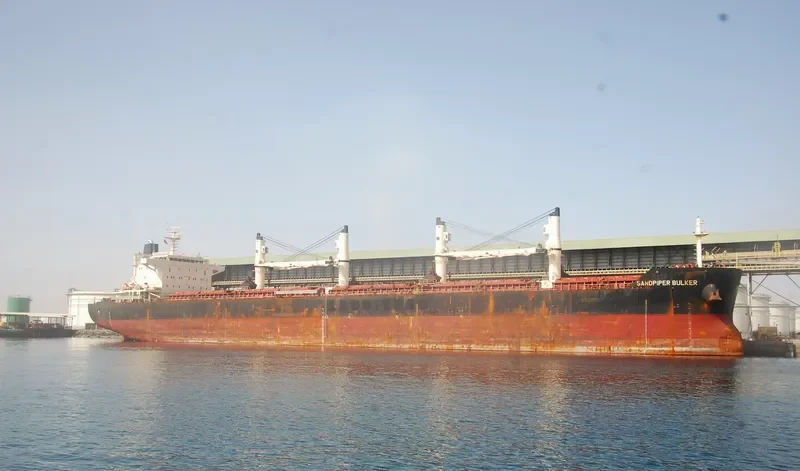 SANDPIPER BULKER Bulk Carrier IMO 9441427