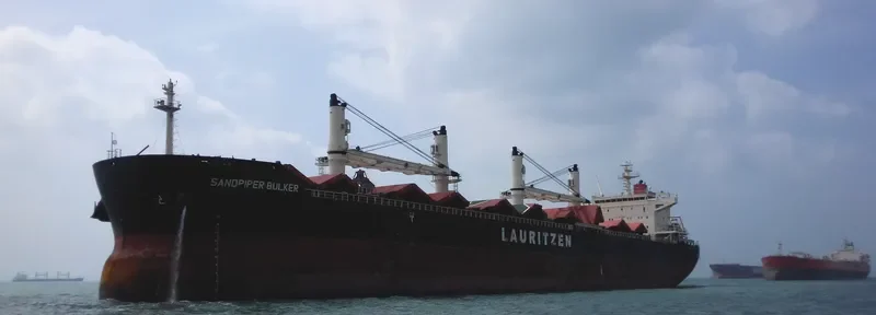 SANDPIPER BULKER Bulk Carrier IMO 9441427 photo 2