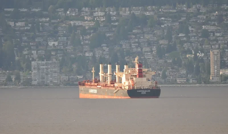 SANDPIPER BULKER Bulk Carrier IMO 9441427 photo 3