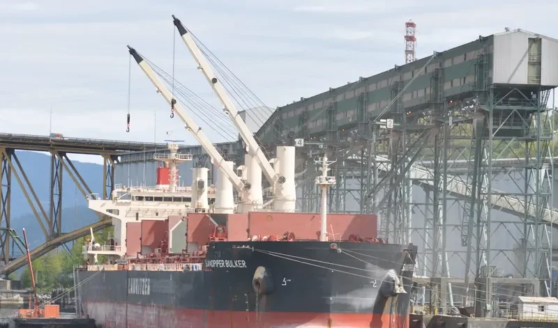 SANDPIPER BULKER Bulk Carrier IMO 9441427 photo 4