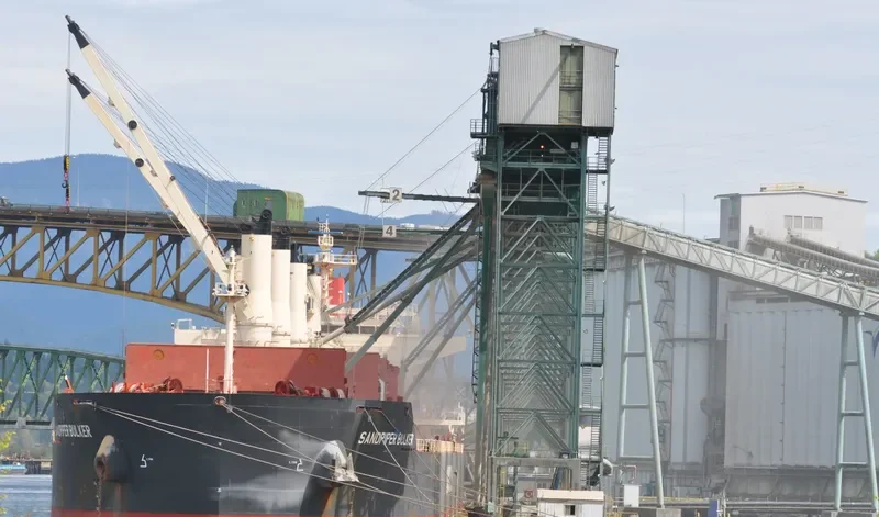 SANDPIPER BULKER Bulk Carrier IMO 9441427 photo 5