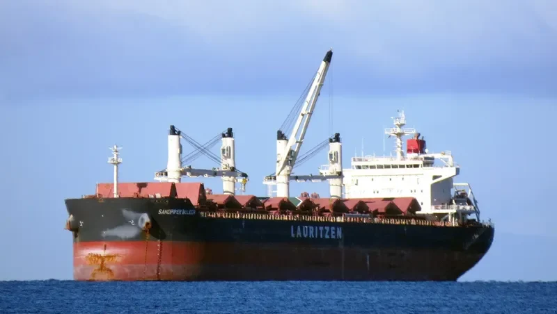 SANDPIPER BULKER Bulk Carrier IMO 9441427 photo 6
