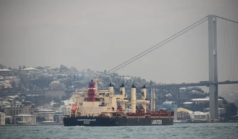 SANDPIPER BULKER Bulk Carrier IMO 9441427 photo 7