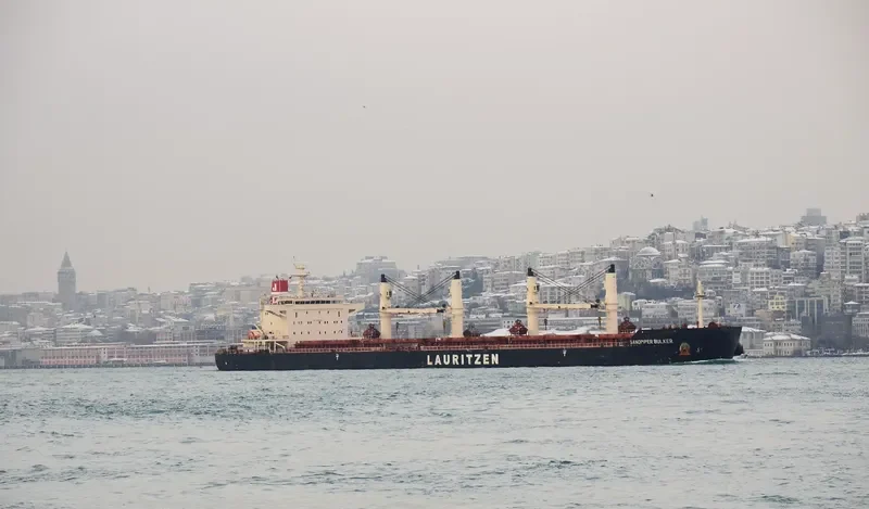 SANDPIPER BULKER Bulk Carrier IMO 9441427 photo 8