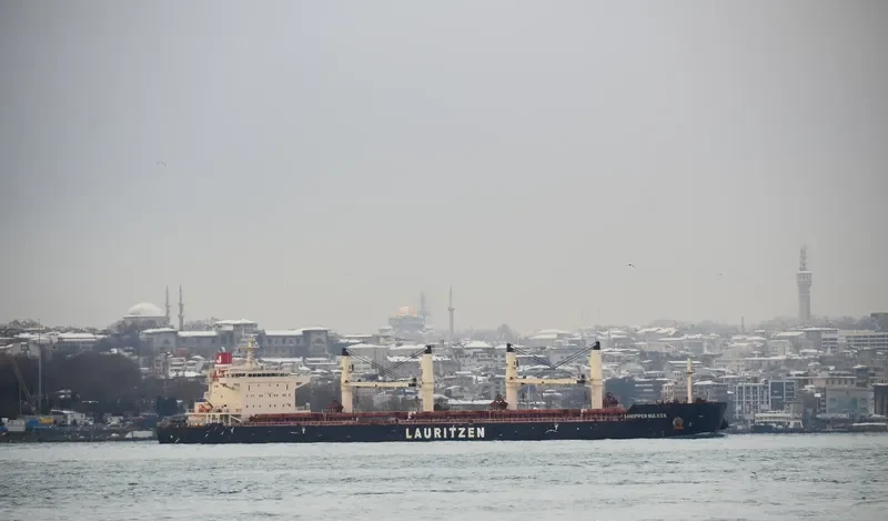 SANDPIPER BULKER Bulk Carrier IMO 9441427 photo 9