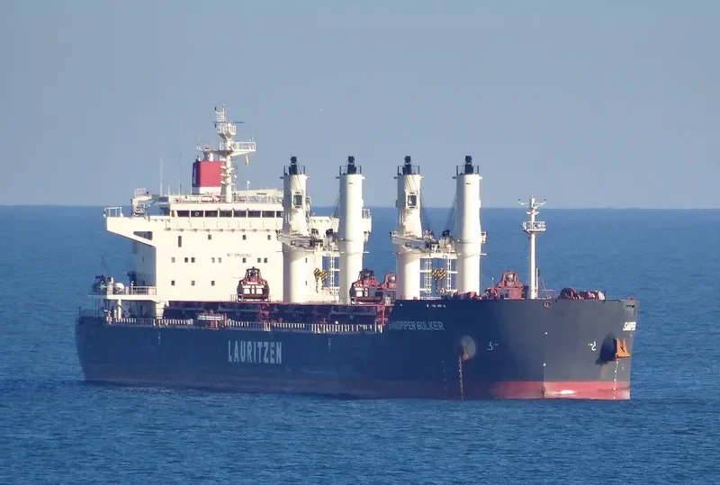 SANDPIPER BULKER Bulk Carrier IMO 9441427 photo 10
