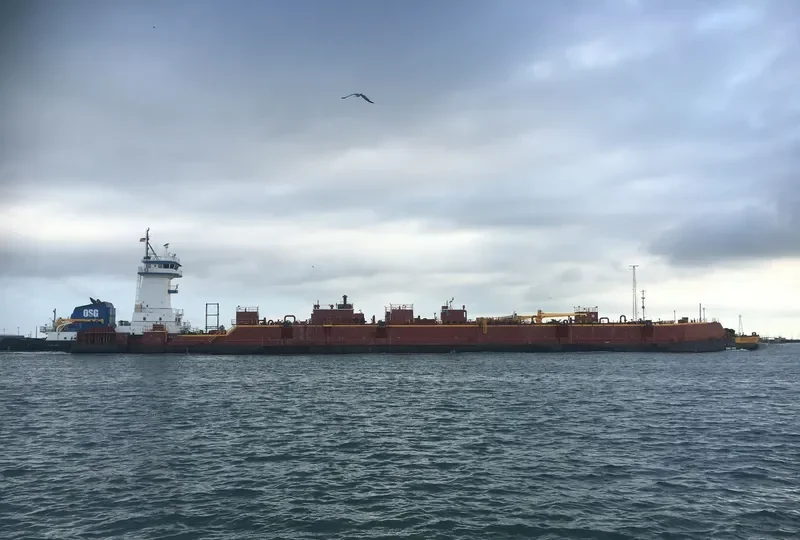 OSG ENDURANCE General Cargo IMO 9441477 photo 2