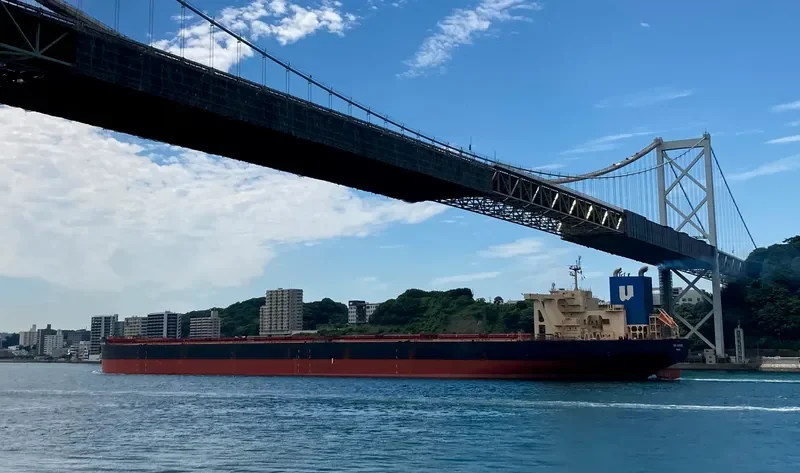 NSU JUSTICE Bulk Carrier IMO 9441922 photo 9