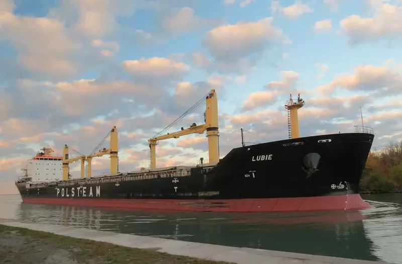 LUBIE Bulk Carrier IMO 9441984 photo 4