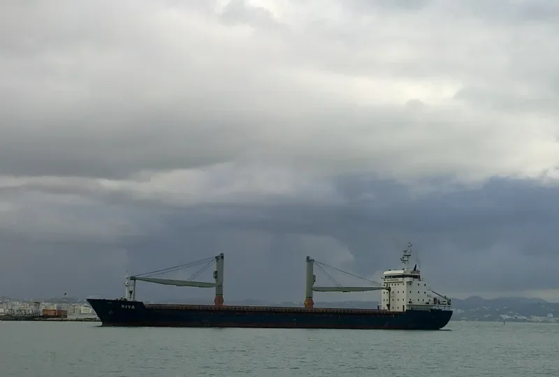 SIYA General Cargo IMO 9442108 photo 4