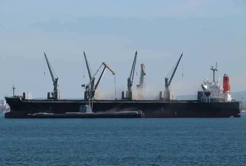 ADVANCE Bulk Carrier IMO 9442225 photo 2