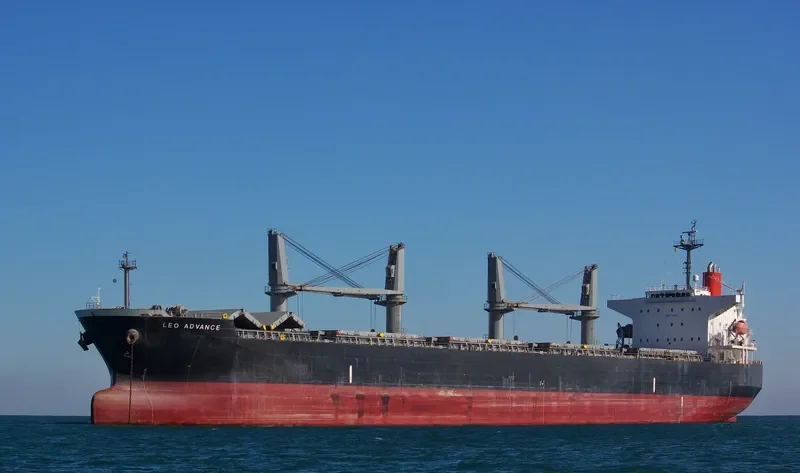 ADVANCE Bulk Carrier IMO 9442225 photo 9