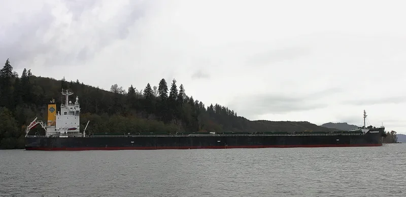 PANAMANIAN Bulk Carrier IMO 9442378 photo 3