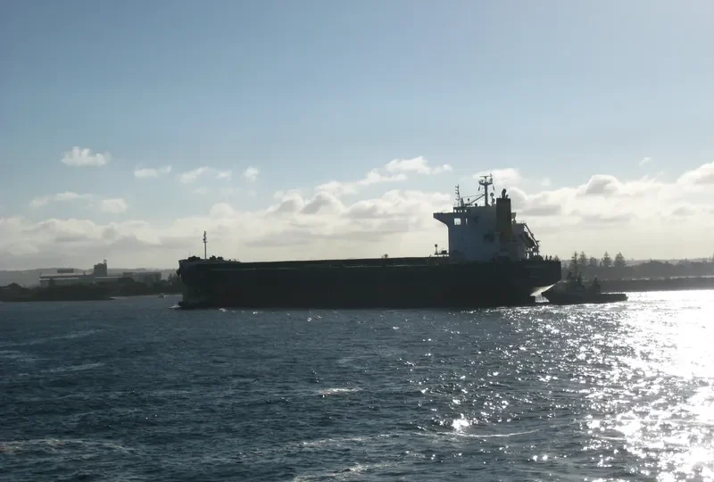PANAMANIAN Bulk Carrier IMO 9442378 photo 6
